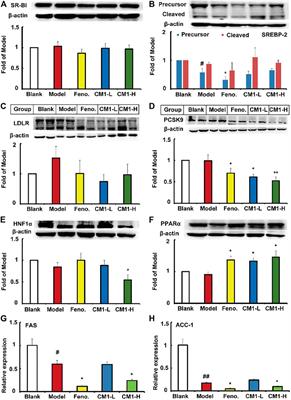 The Cordyceps militaris-Derived Polysaccharide CM1 Alleviates Atherosclerosis in LDLR(-/-) Mice by Improving Hyperlipidemia